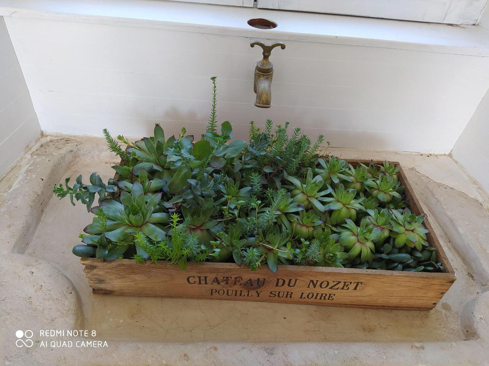 Gite Calme 4 Chambres, Terrasse Privative, Draps Inclus - Germonville - Fr-1-584-167 المظهر الخارجي الصورة