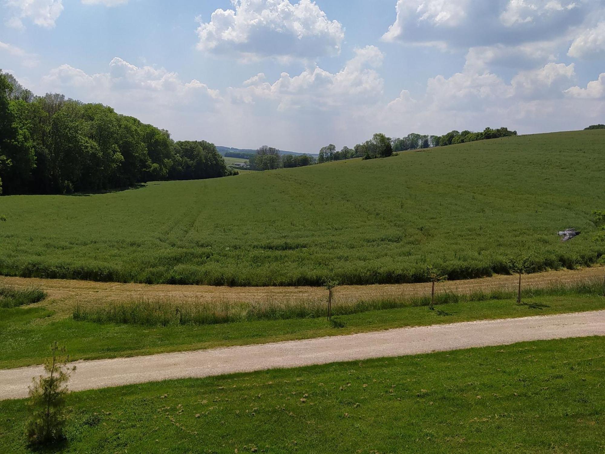 Gite Calme 4 Chambres, Terrasse Privative, Draps Inclus - Germonville - Fr-1-584-167 المظهر الخارجي الصورة